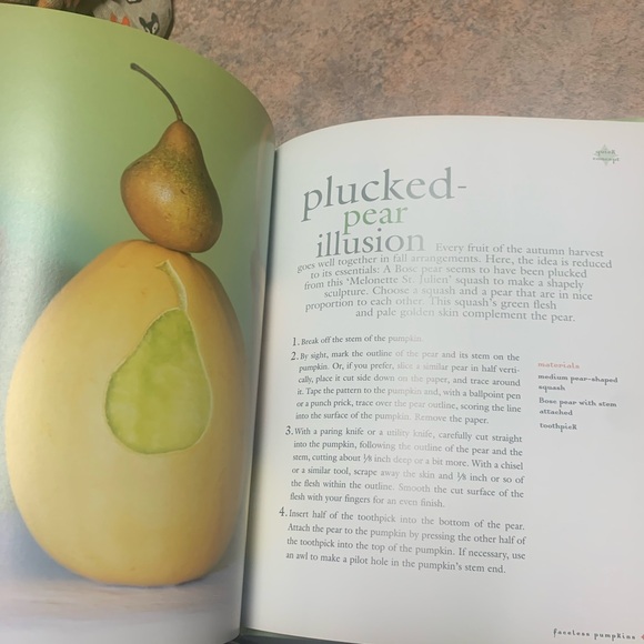 Better Homes & Gardens Halloween Decorating Pumpkins and Gourds Book - Picture 4 of 14